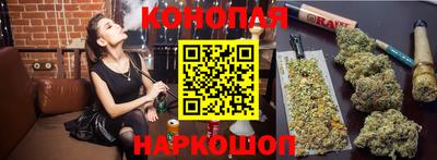 прущие крисы Будённовск