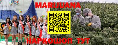 прущие крисы Будённовск