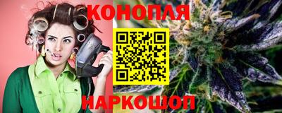 прущие крисы Будённовск