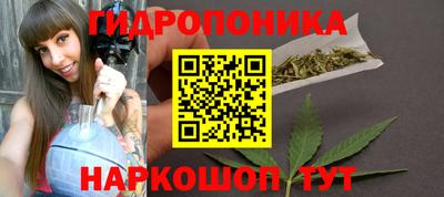 прущие крисы Будённовск