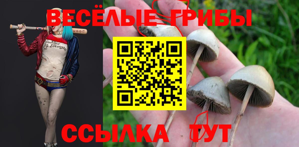 Галлюциногенные грибы ЛСД  Вход с VPN  Биробиджан 